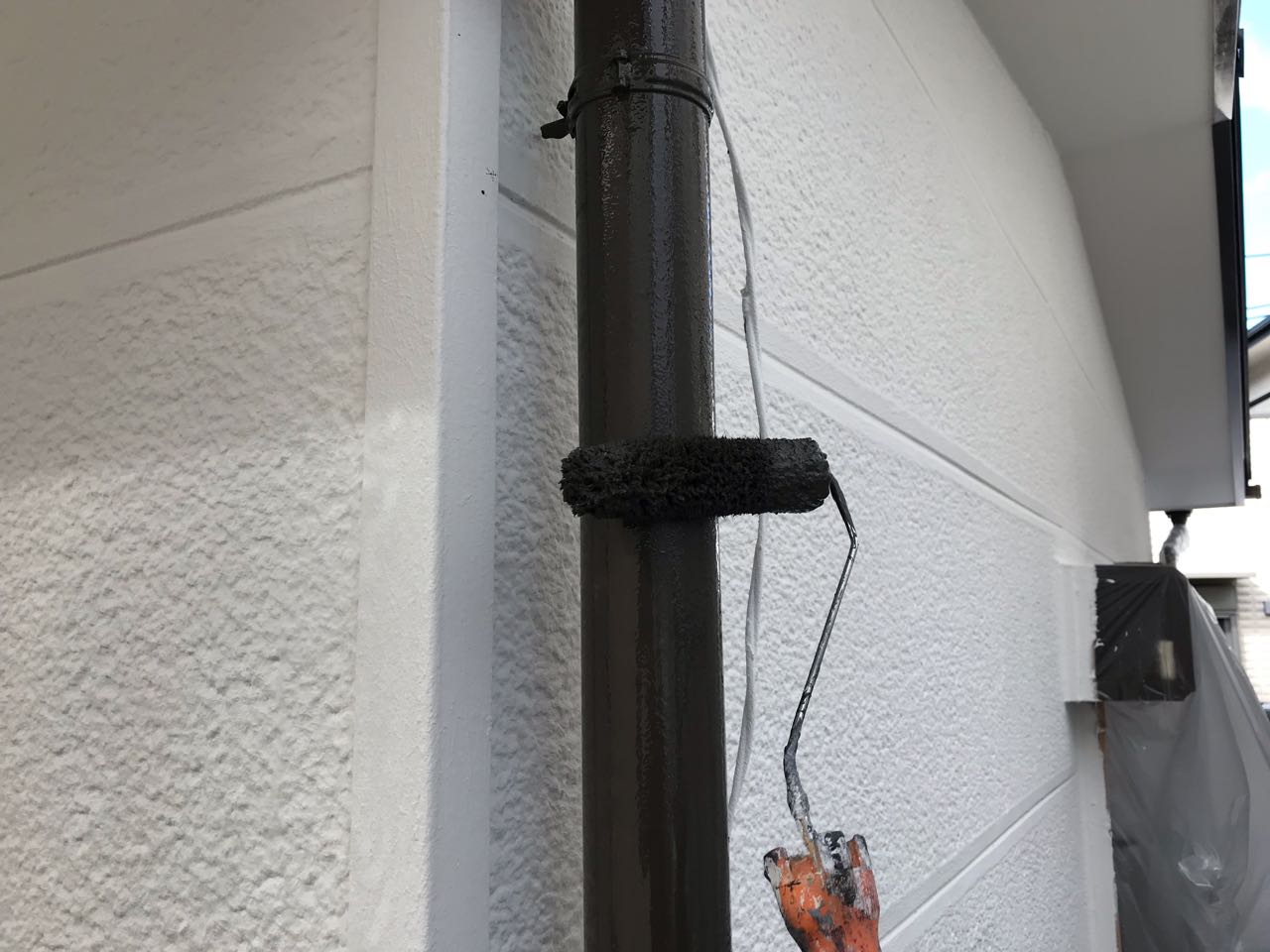 【雨樋塗装】上塗り