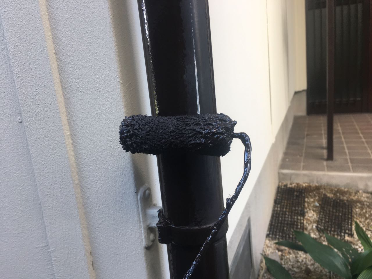 【雨樋塗装】上塗り