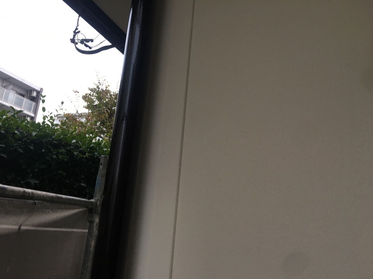 【雨樋塗装】完了