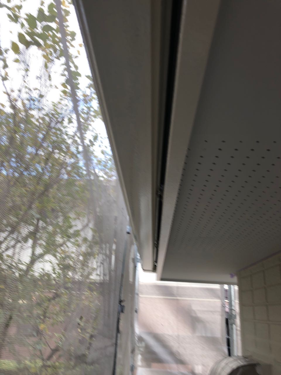 【雨樋塗装】完了