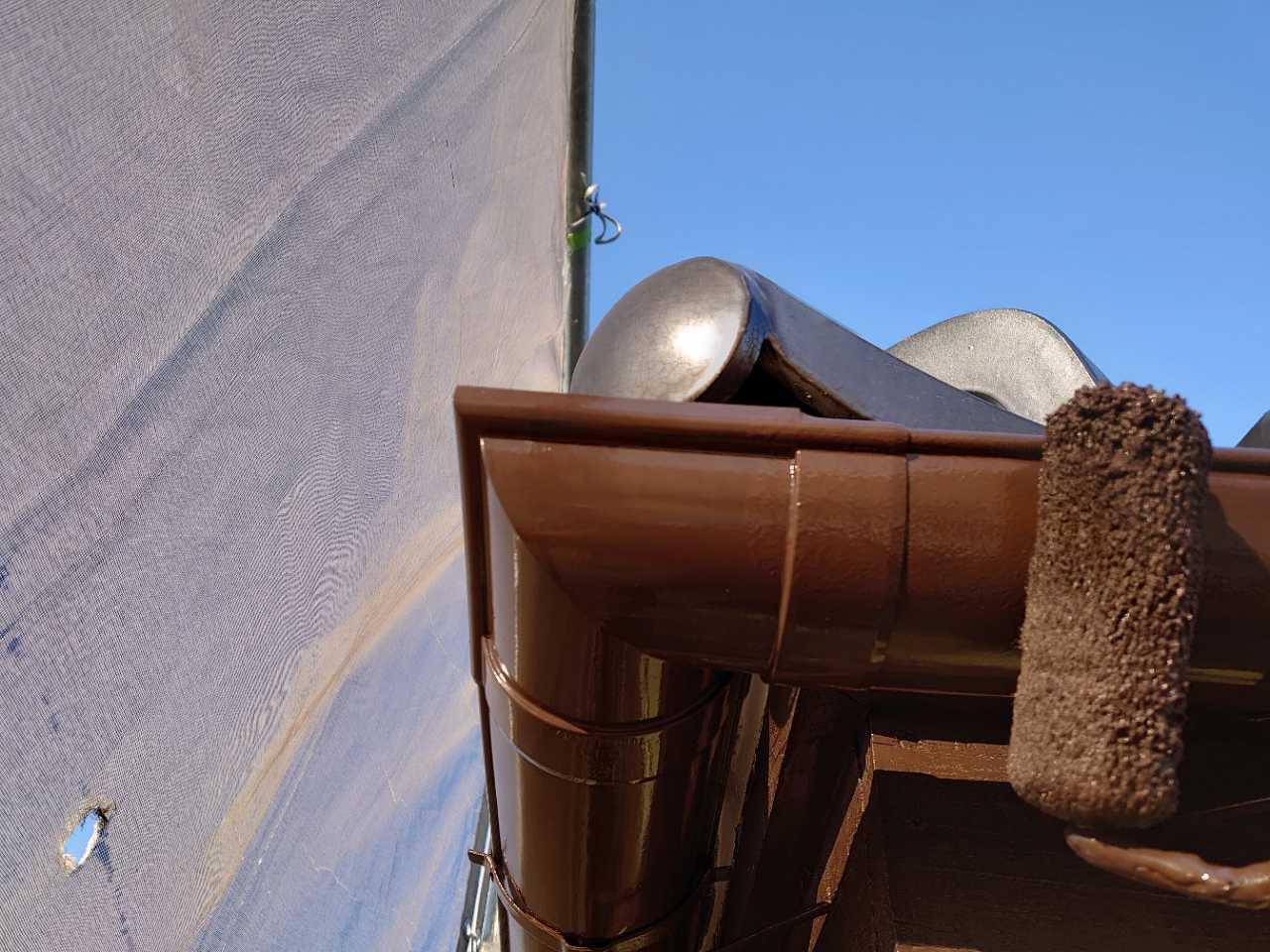 【雨樋塗装】上塗り