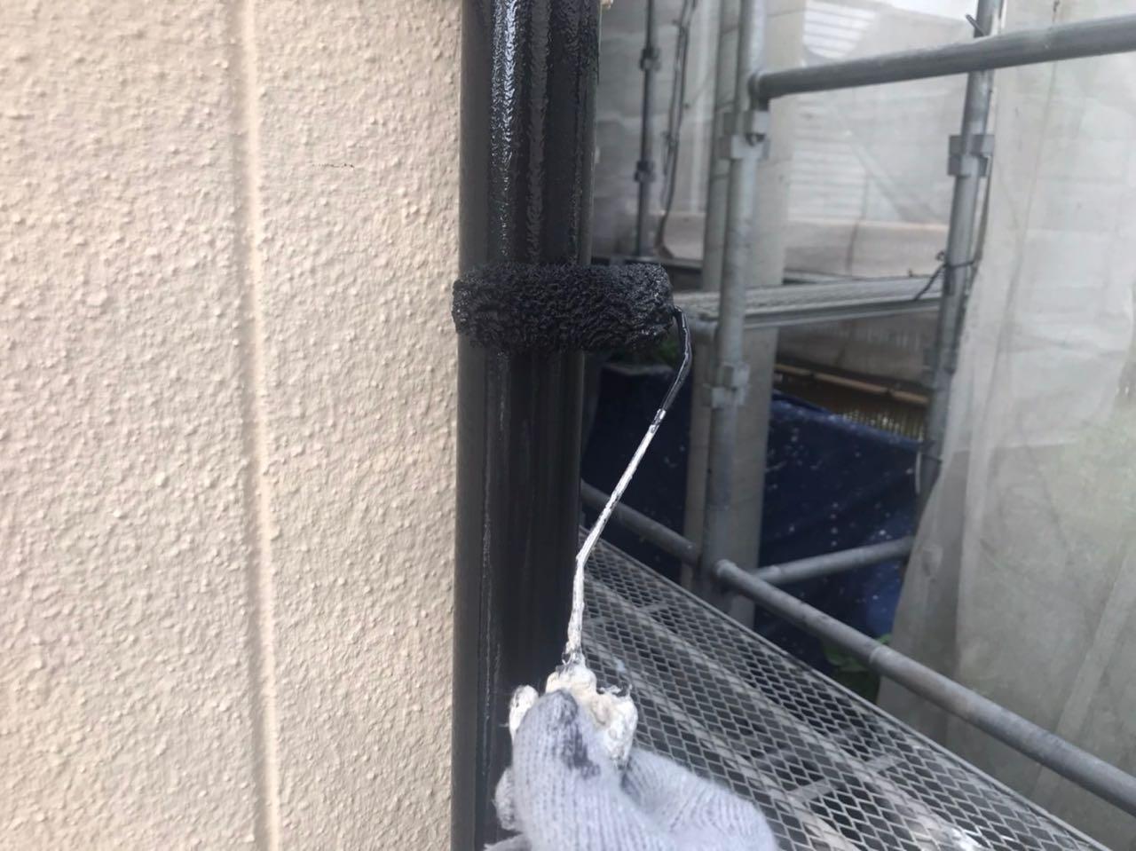 【雨樋塗装】上塗り