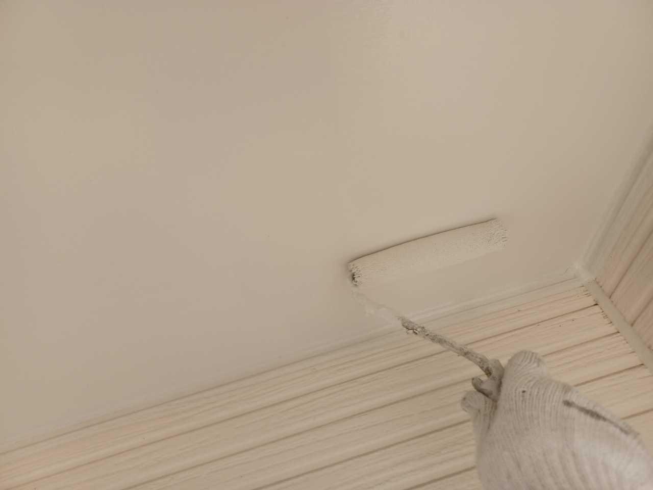 【軒天塗装】上塗り