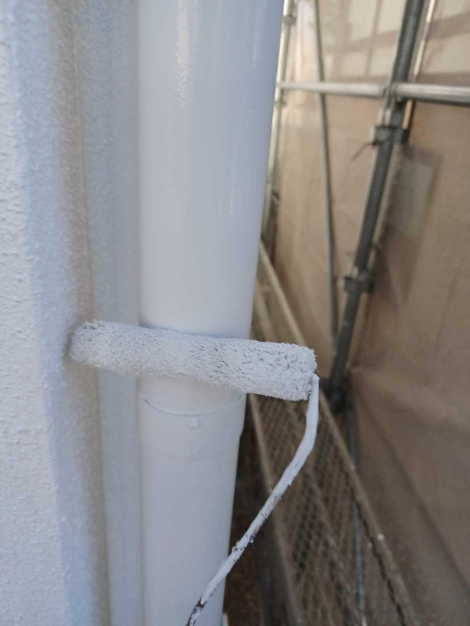 【雨樋塗装】上塗り