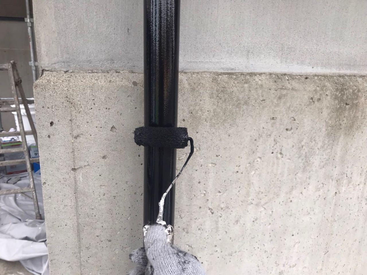 【雨樋塗装】上塗り