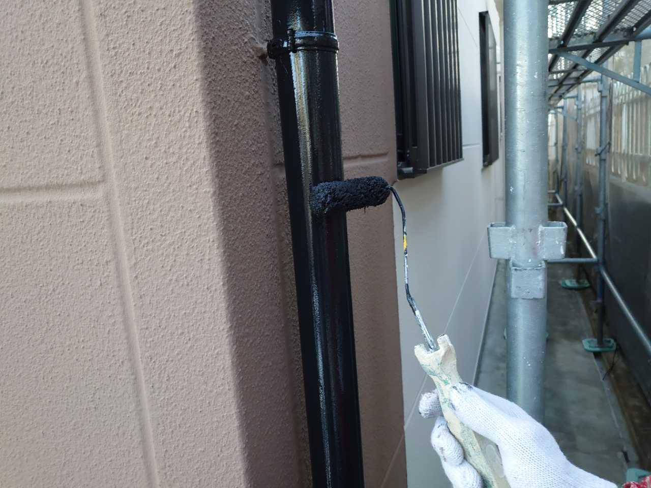 【雨樋塗装】上塗り