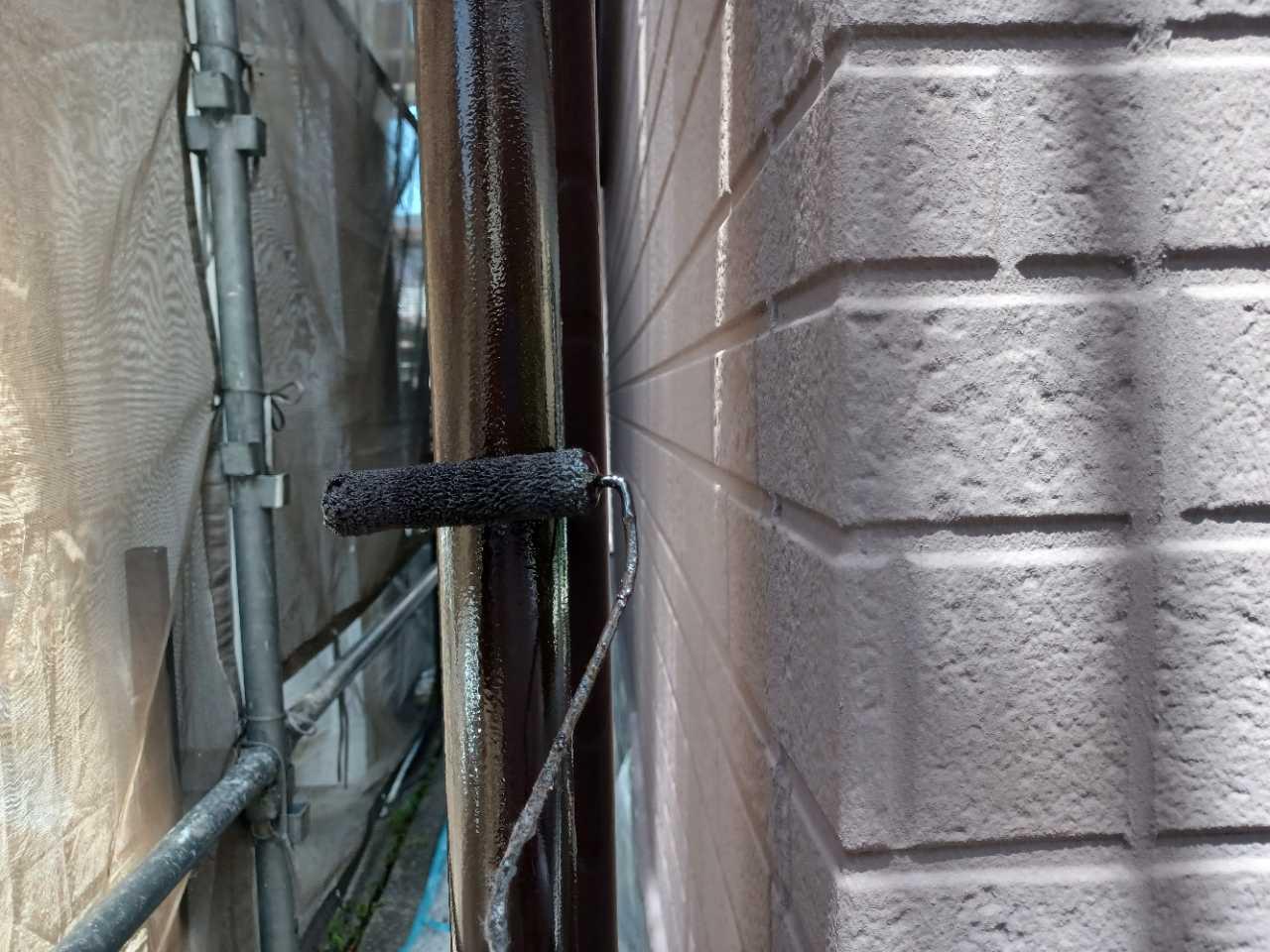 【雨樋塗装】上塗り
