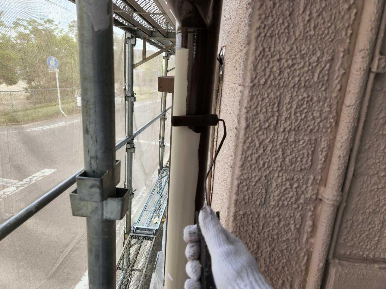 【雨樋塗装】下塗り