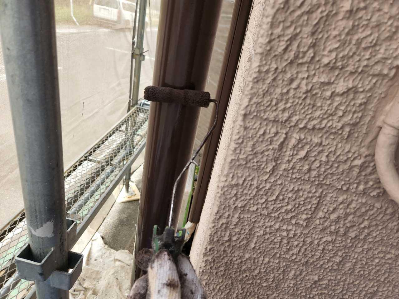 【雨樋塗装】上塗り