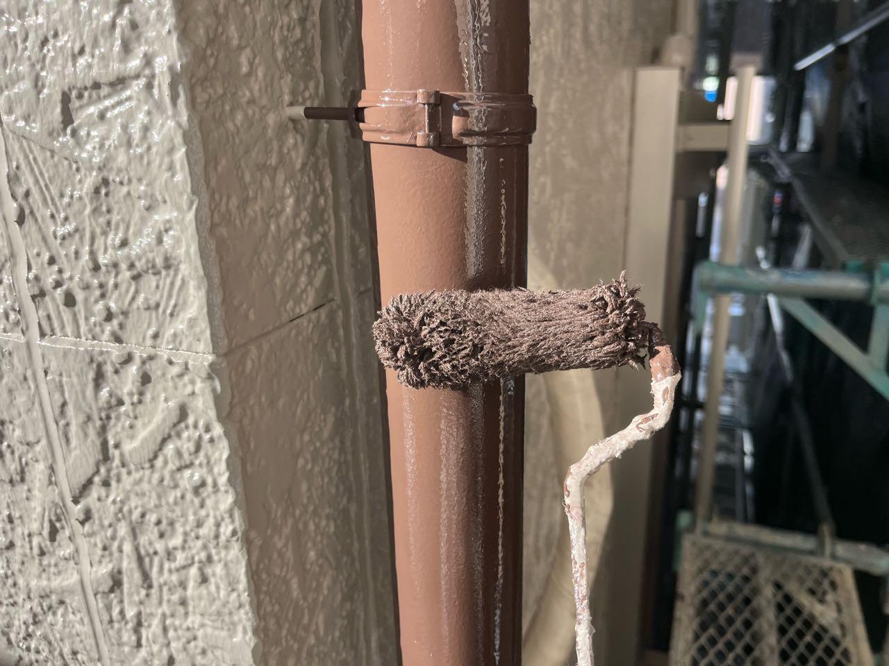 【雨樋塗装】上塗り