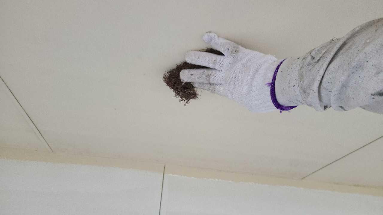 【軒天塗装】ケレン作業