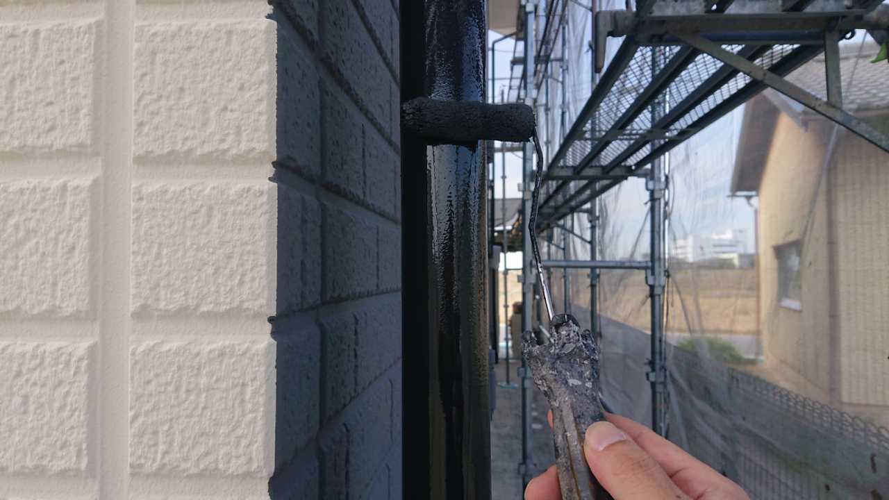 【雨樋塗装】上塗り