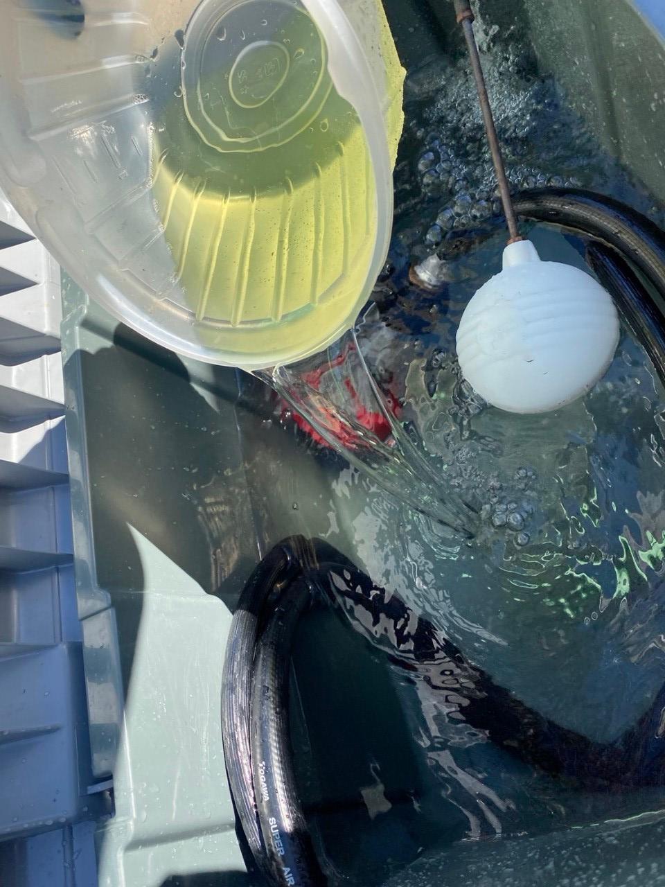 【バイオ洗剤準備】原液混入