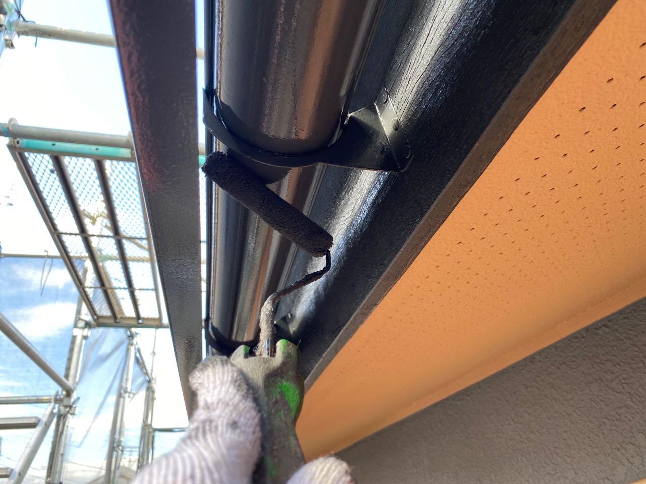 【雨樋塗装】上塗り