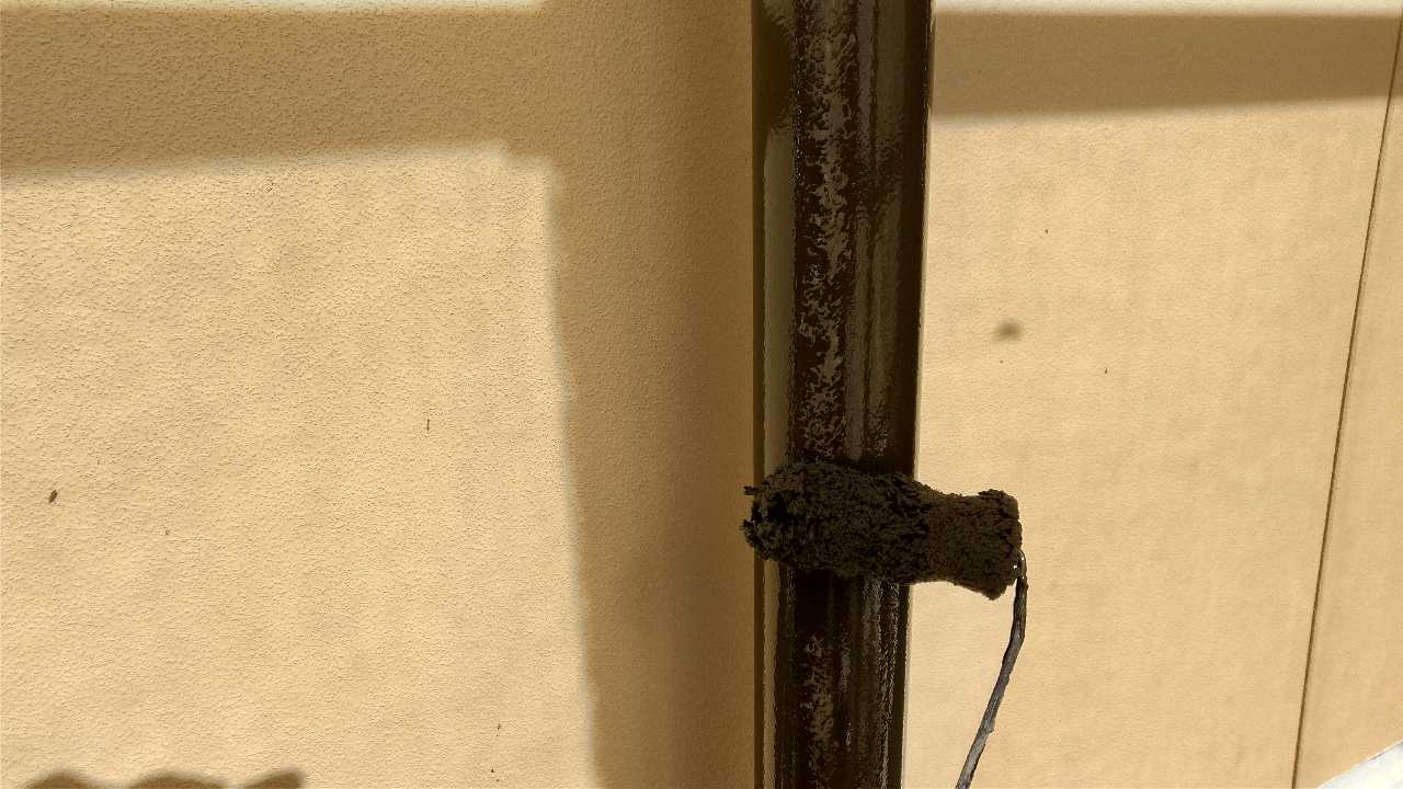 仕上げ塗装1回目です。