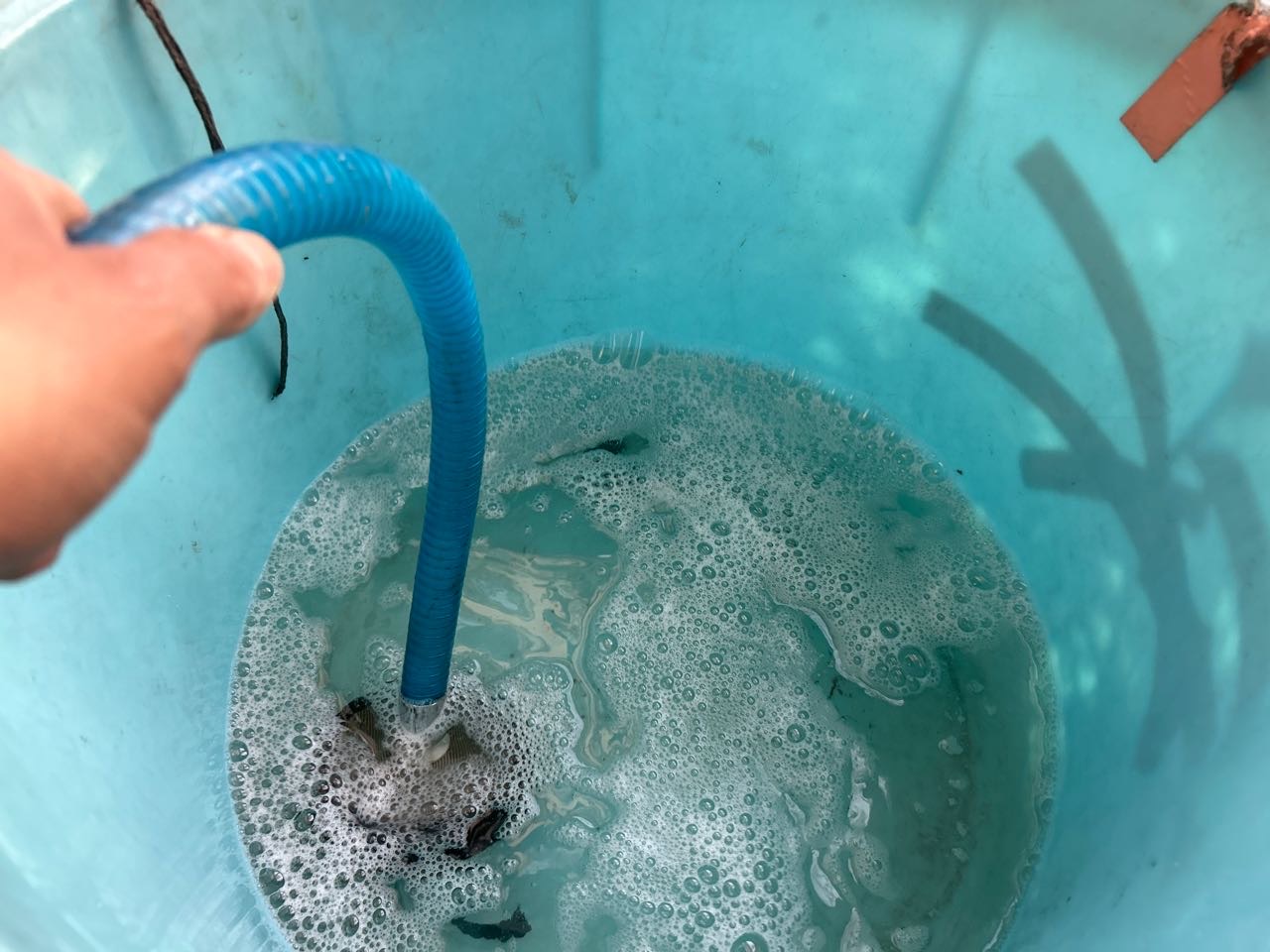 バイオ洗浄原液撹拌。