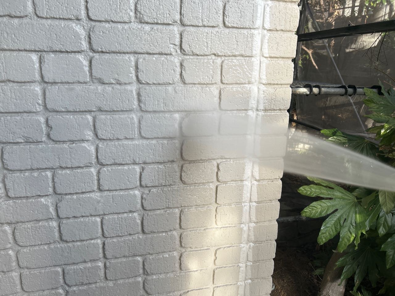 バイオ洗浄塗布です。