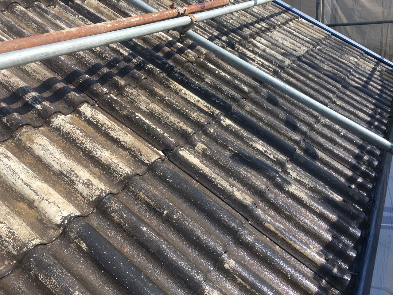 シーラー塗布1回目です。