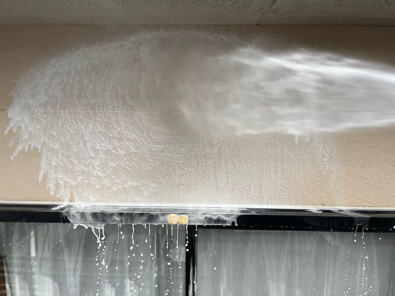 バイオ洗浄塗布です。