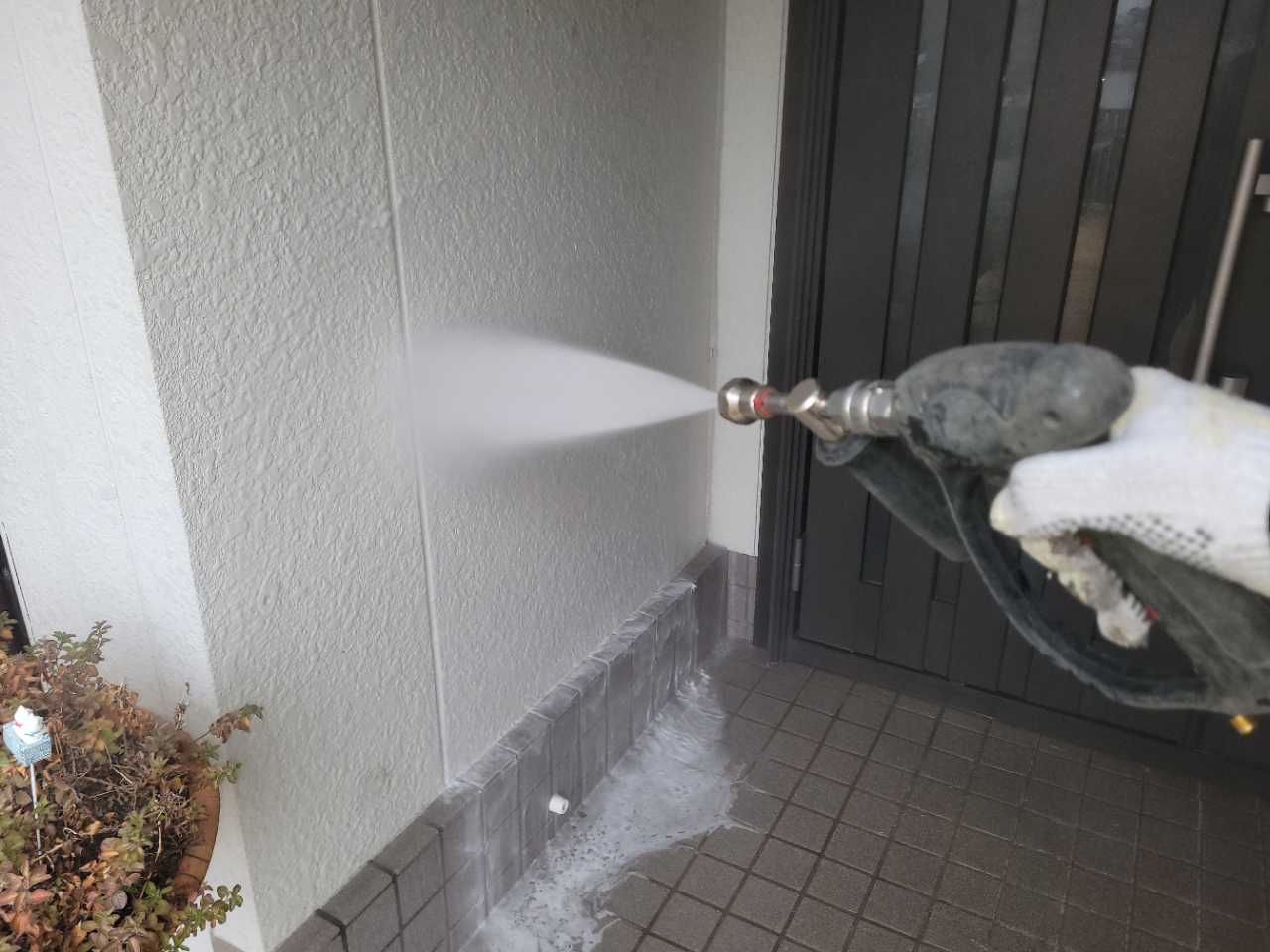 バイオ洗浄塗布です。