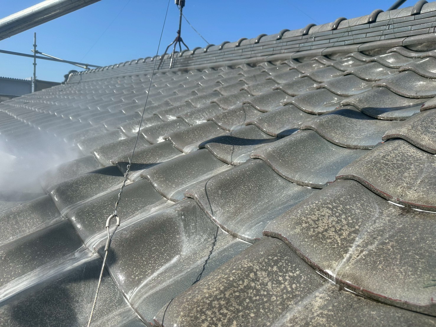 バイオ洗浄塗布です。