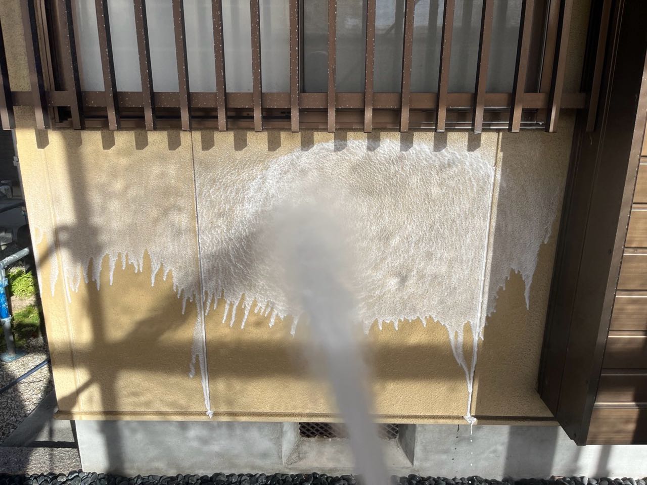 バイオ洗浄塗布です。