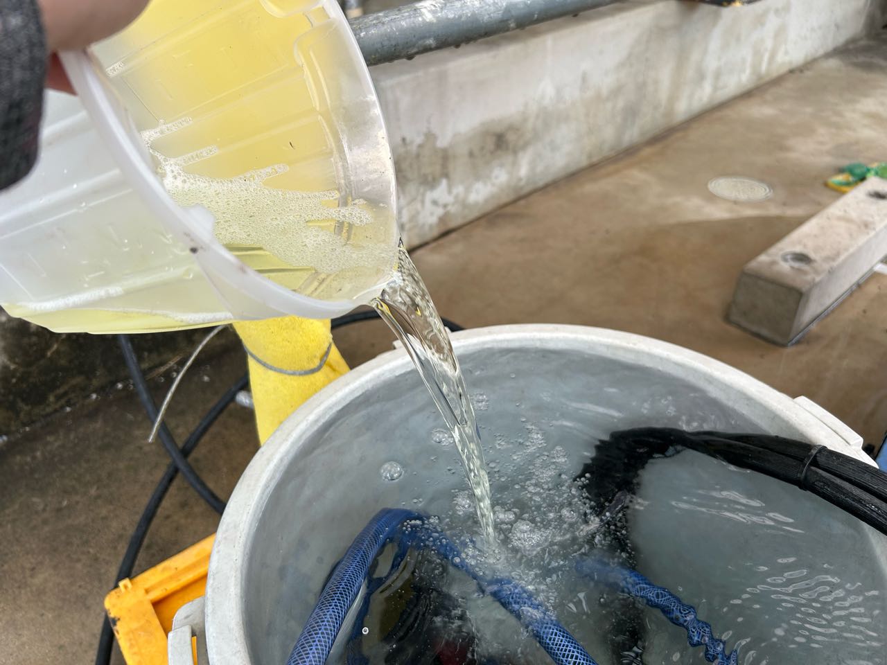 バイオ洗浄原液混入。